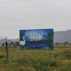 Humedales de Quilicura- La lucha contra la amenaza