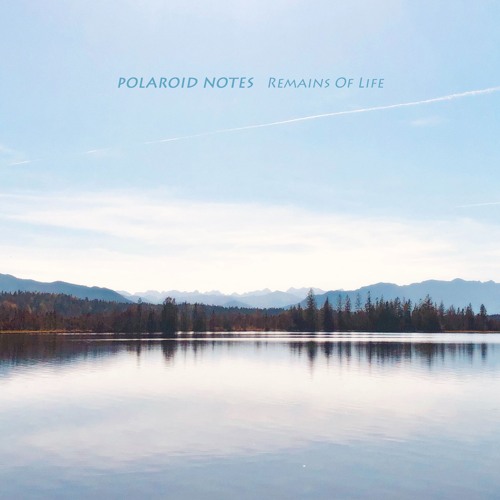 Polaroid Notes - Remains Of Life