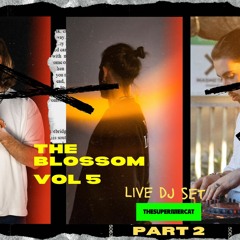 The Blossom Vol 5 @ The Supermercat Live Set (Pt. 2)