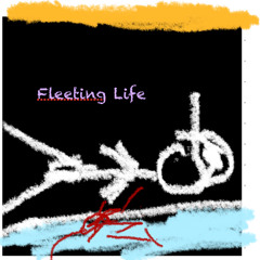 Fleeting Life