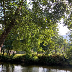 HOW CAN I FEEL BAD? (feat. swazy* & 9lives)