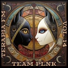 Terapia Fm Vol. 14: Guest Mix by TEAM PLNK [2 hours of B2B Deep House Mix Session 2024]
