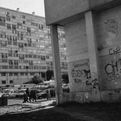 VNHL - ZOO (Hardcore) [FREE DL]