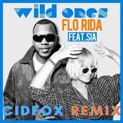 Wild Ones - CidFox Flip