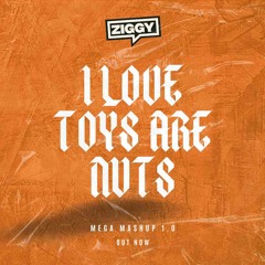 ZIGGY - I LOVE TOYS ARE NUTS (SUPER MASH UP 1.0)