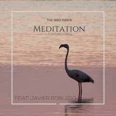 Music for meditation, relax, study or dream