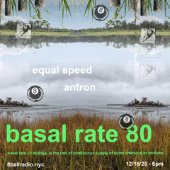 basal rate on 8 ball radio