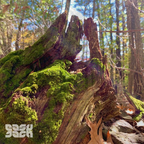 Elysian (2017 Analog Jam)