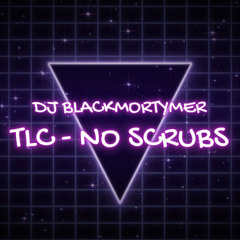 TLC No Scrubs Remix