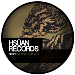 Sully - Inroads ( KayDee Mashup )