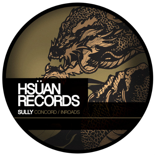 Sully - Inroads ( KayDee Mashup )