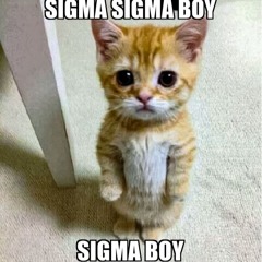 Sigma Boy [сигма бой] dubstep <free dl>