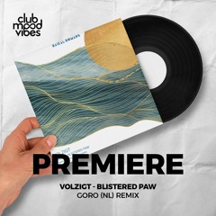 PREMIERE: Volzigt ─ Blistered Paw (Goro (NL) Remix) [Baikal Nomads]