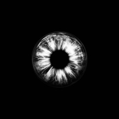 The Rise (Live Recorded Set)