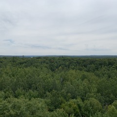 Noah’s happy music