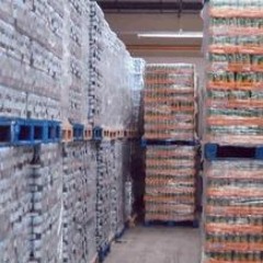 D3-Last moments of pure recall Recreation