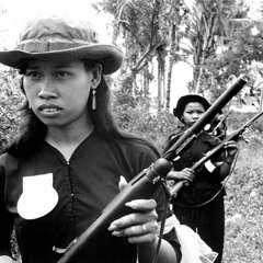 VietCong Shadows