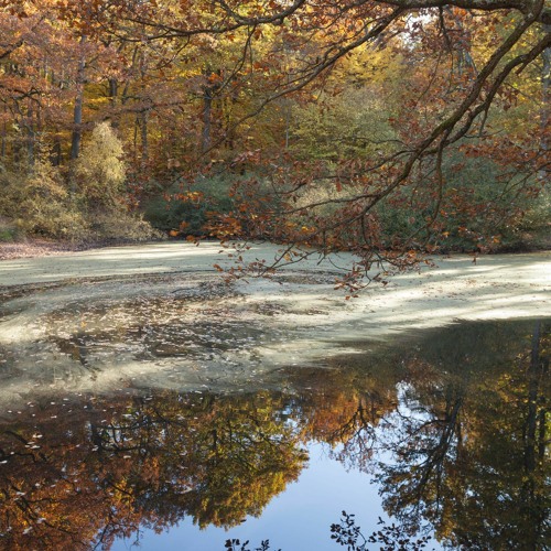 In the hug of November