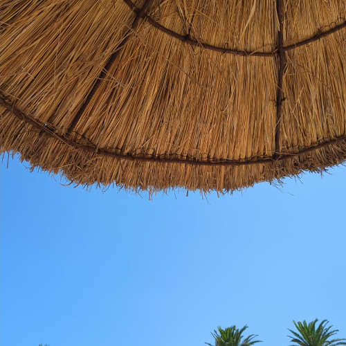 Time For Summer 2025 - Part Four