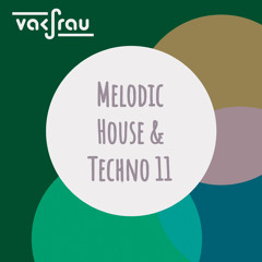 Melodic House & Techno 11