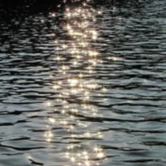 Paillettes