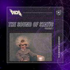 VIDA - THE SOUND OF STATIC VOLUME 1