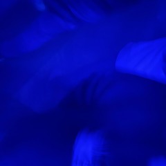 dancefloor vibes