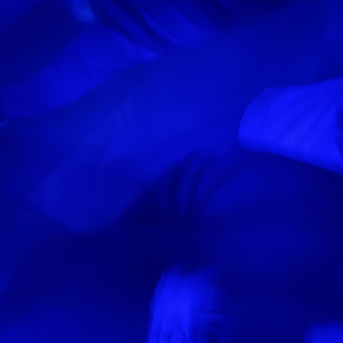 dancefloor vibes