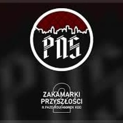 PNS / Igorek Kgo / Pazo RDU - Zakamarki przyszłości 2