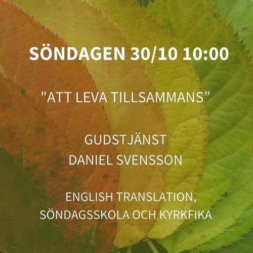 Stream Att Leva Tillsammans 30 Oktober 2022 By EFS Helsingborg Stream Att Leva Tillsammans 30 Oktober 2022 By EFS Helsingborg