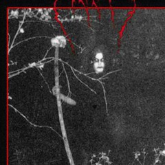 [free] playboi carti x pierre bourne type beat | "siberia hills" prod. nicasso x xoarnel