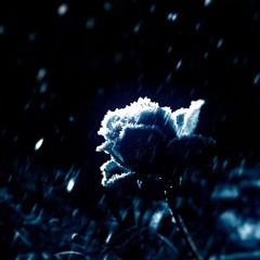 DSPRITE -В океане твоих глаз