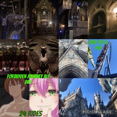 Magic All Day(Harry Potter Forbidden Journey at Universal Orlando)