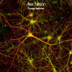 Alex Nilson- Voyage Intérieur P.2 (Podcast Techno) 2013