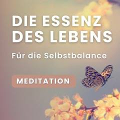 Die Essenz des Lebens - Meditation
