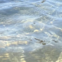 Ben Haworth - I Wanna Give You Devotion