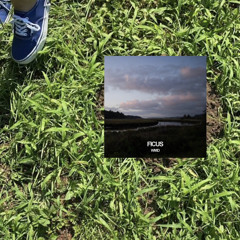 lilbesh ramko - noryo. & WMD - Ficus