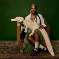 Doechii-FIREFLIES(FLIP)