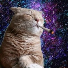 Nắng ấm xa dần lofi