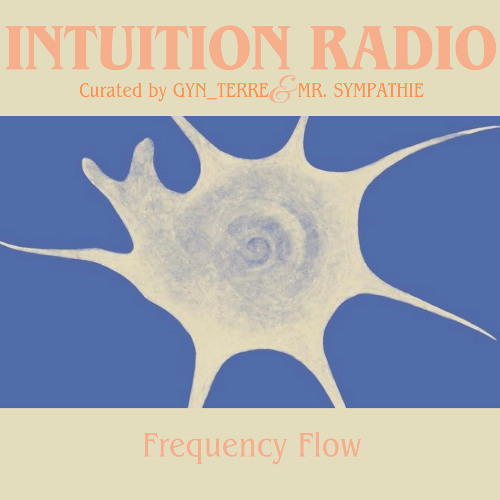 FREQUENCY FLOW feat. Mr. Sympathie
