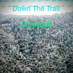 Down The Trail