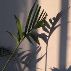 𝖙𝖜𝖎𝖘𝖙𝖊𝖉