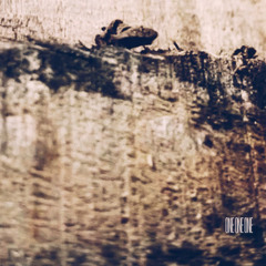 PREMIERE | ONE ONE ONE - ZAR TSAR BIZZARE (ENJOY BRUTALISM) [1111]