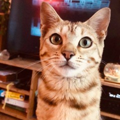 Housebound Vol 1 - Mixed by WOnka