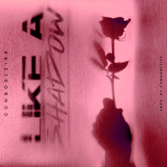 Like A Shadow (Combobezirk)