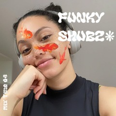 Mix Ting 04 - Funky Shubz