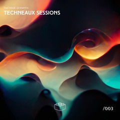 Techneaux Sessions - 003 - Dupleaux