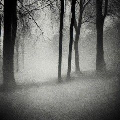 Shadows Of Raw