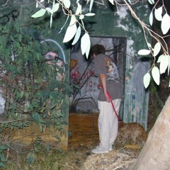 ₘᵤᵣₘᵤᵣ (it makes me feel grounded) (-_-)_-)-_-)_-)_-)-)