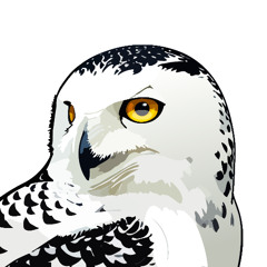 62: Från fjällugglor till felflugna fåglar